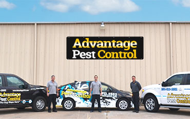 Pest Control Temple TX